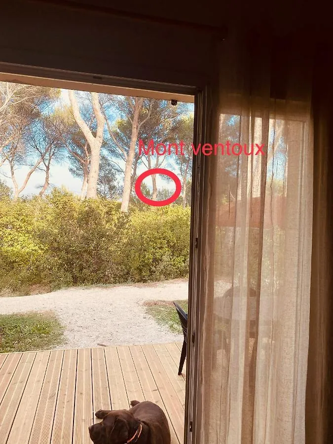 Prázdninový dům Maison De Vacances Au Calme 4 Personnes Residence Avec Piscine Aubignan